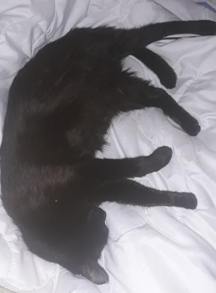 18 օրինակներ, թե ինչու լուսանկարելիս չպետք է թերագնահատել անկյունն ու հեռանկարը