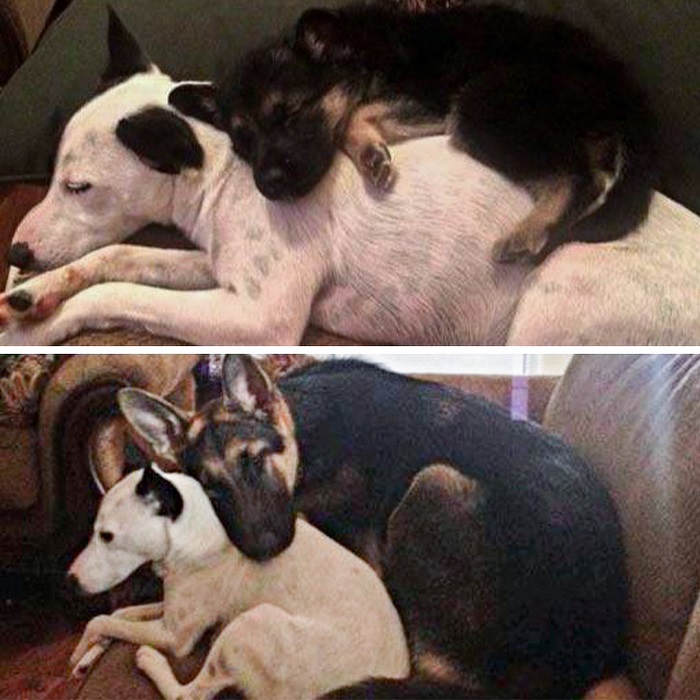 16 կադր այն մասին, թե ինչպես է գործում հռչակավոր ժամանակի մոգությունը