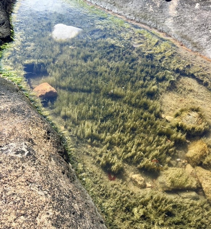 18 օրինակներ, թե ինչու լուսանկարելիս չպետք է թերագնահատել անկյունն ու հեռանկարը