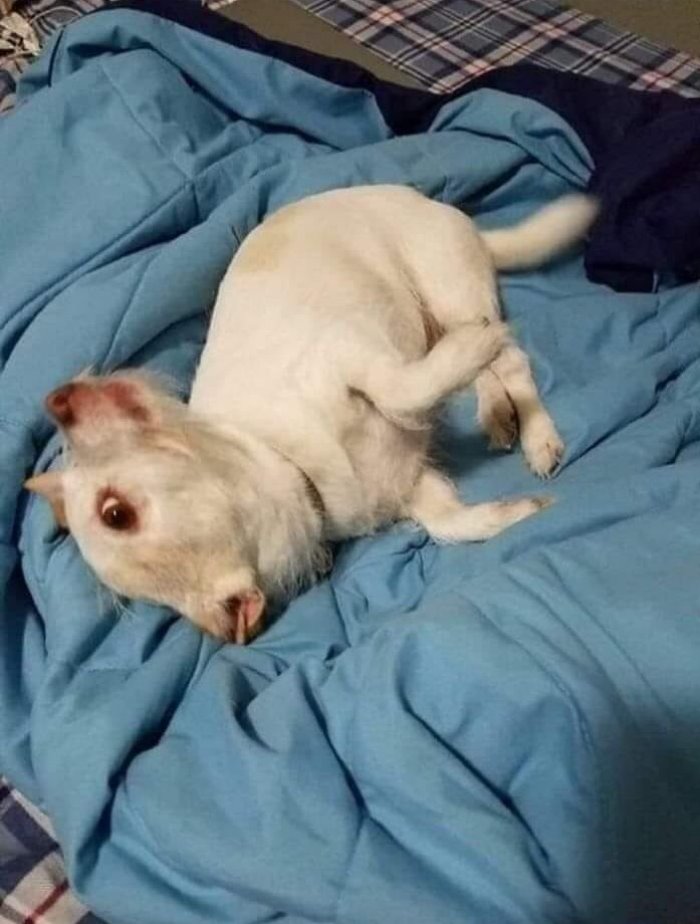 15 լուսանկար, որոնց պետք է երկու անգամ նայել` հասկանալու համար