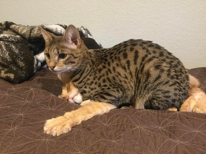 18 օրինակներ, թե ինչու լուսանկարելիս չպետք է թերագնահատել անկյունն ու հեռանկարը