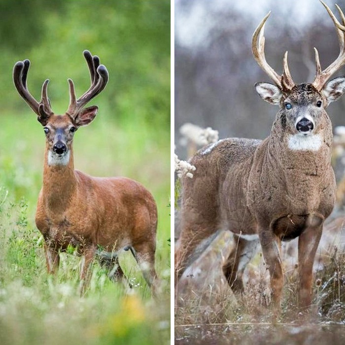 16 կադր այն մասին, թե ինչպես է գործում հռչակավոր ժամանակի մոգությունը