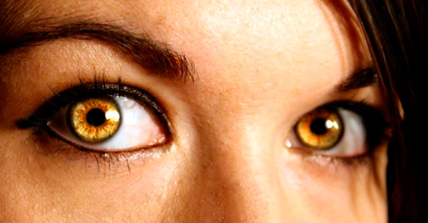 Цвет глаза зависит от пигмента. Цветные линзы гетерохромия. Карие янтарные глаза. Желтые глаза. Золотисто карие глаза.