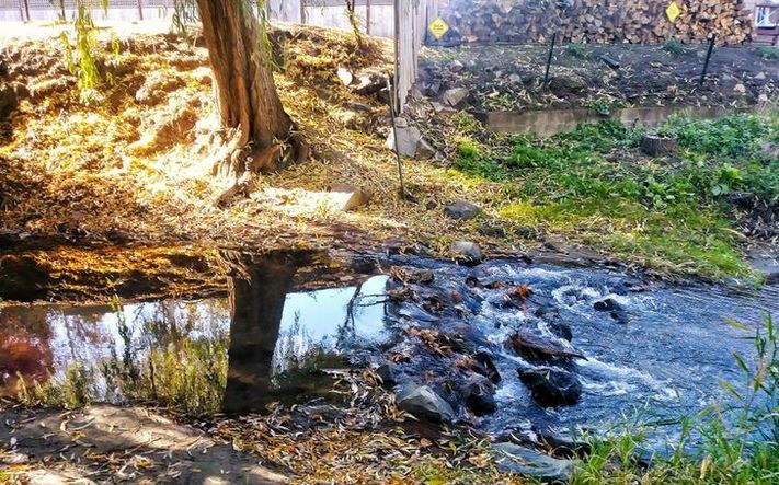 20 կադր, որոնք որքան շատ են զարմացնում, այնքան ավելի երկար ես ուզում նայել դրանց