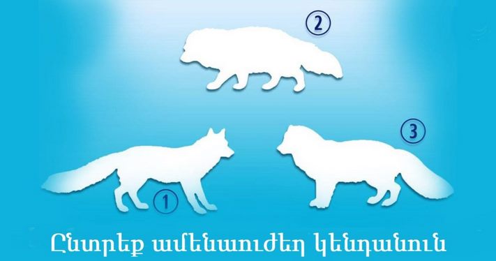 Ընտրեք ամենաուժեղ կենդանուն և իմացեք, թե կյանքի ինչ ասպեկտների մասին է պատմում ձեր ընտրությունը