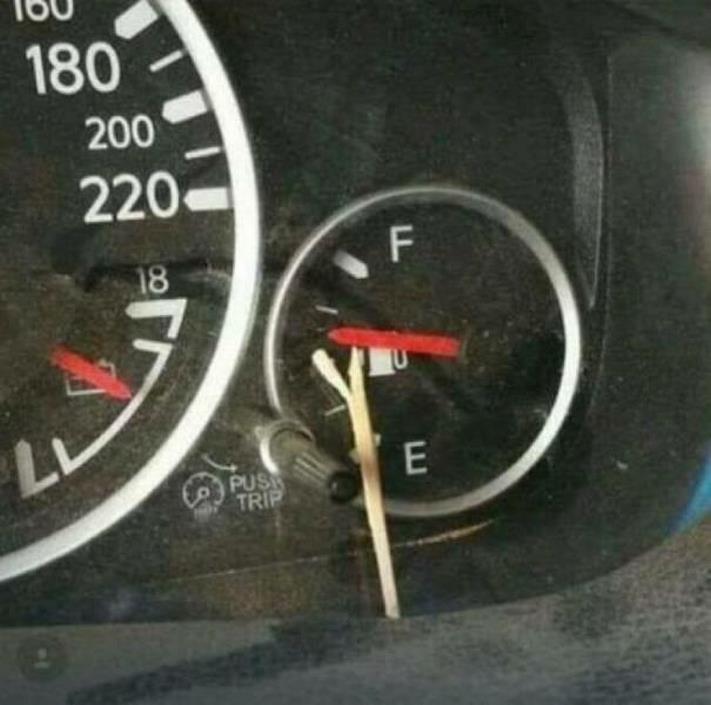 20 զվարճալի լուսանկար ամեն ինչի մասին` ձեր տրամադրությունը բարձրացնելու համար