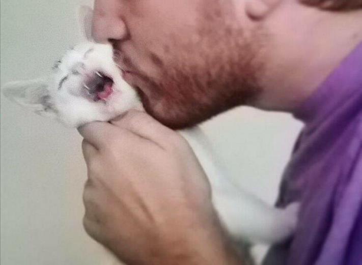 20 զվարճալի լուսանկար ամեն ինչի մասին` ձեր տրամադրությունը բարձրացնելու համար