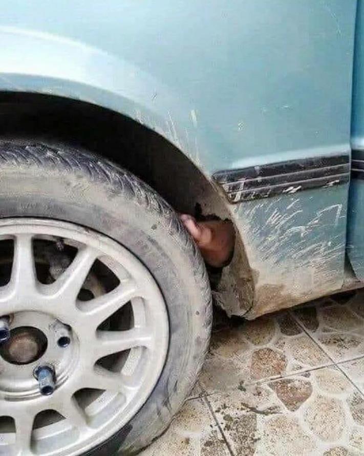 20 զվարճալի լուսանկար ամեն ինչի մասին` ձեր տրամադրությունը բարձրացնելու համար