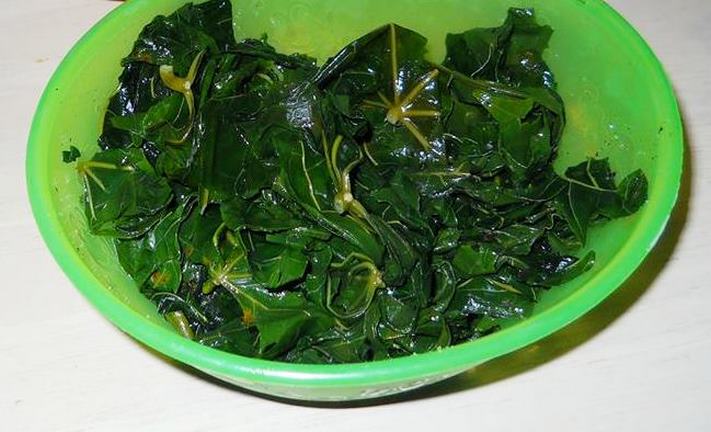 Այս բույսն անվանում են &laquo;Աստծո պարգև&raquo;. այն կարող է բուժել 100-ից ավել հիվանդություններ