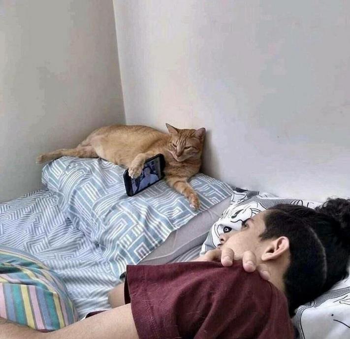 20 զվարճալի լուսանկար ամեն ինչի մասին` ձեր տրամադրությունը բարձրացնելու համար