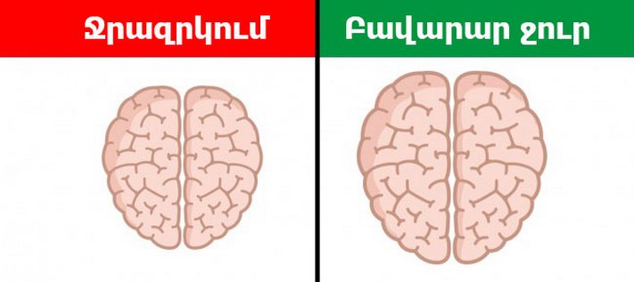 9 ապշեցուցիչ փաստ, թե ինչպես ենք մենք ազդում մեր սեփական ուղեղի վրա