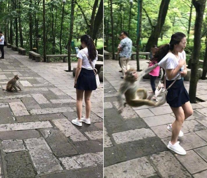 Իրավիճակների 30 լուսանկար, որոնցում ոչ ոք չէր ցանկանա լինել, բայց ոչ ոք էլ դրանցից ապահովագրված չէ