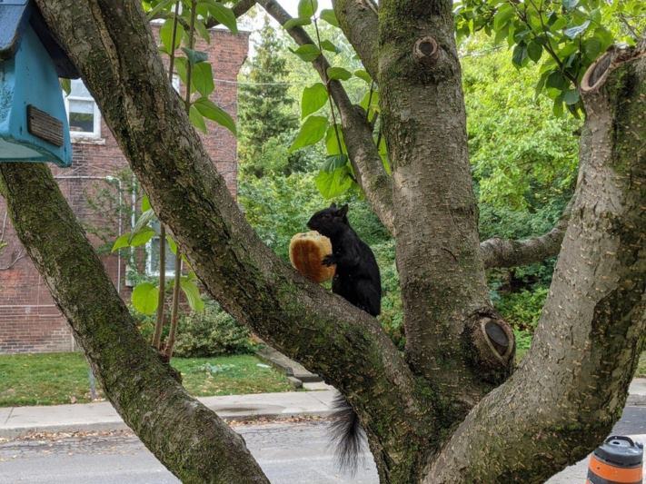 18 կատակներ մայր բնությունից, որպեսզի մարդիկ չհանգստանան