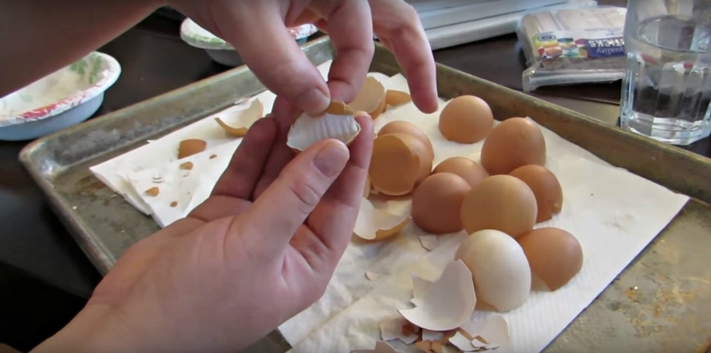 Չի կարելի հենց այնպես վերցնել և դեն նետել ձվի կեղևը․ դրա տակ գանձ է թաքնված