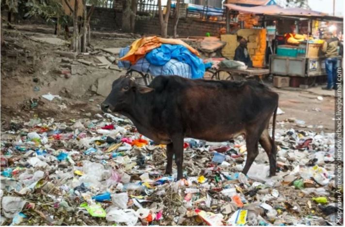 9 պատճառ, թե ինչու ես այլևս երբեք չեմ մեկնի Հնդկաստան: ԵՐԲԵՔ