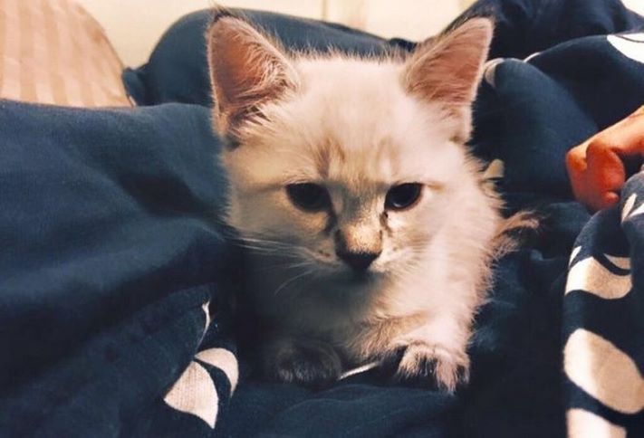 20 լուսանկար, թե ինչքան սիրող, ուշադիր և հոգատար կարող են լինել տղաները