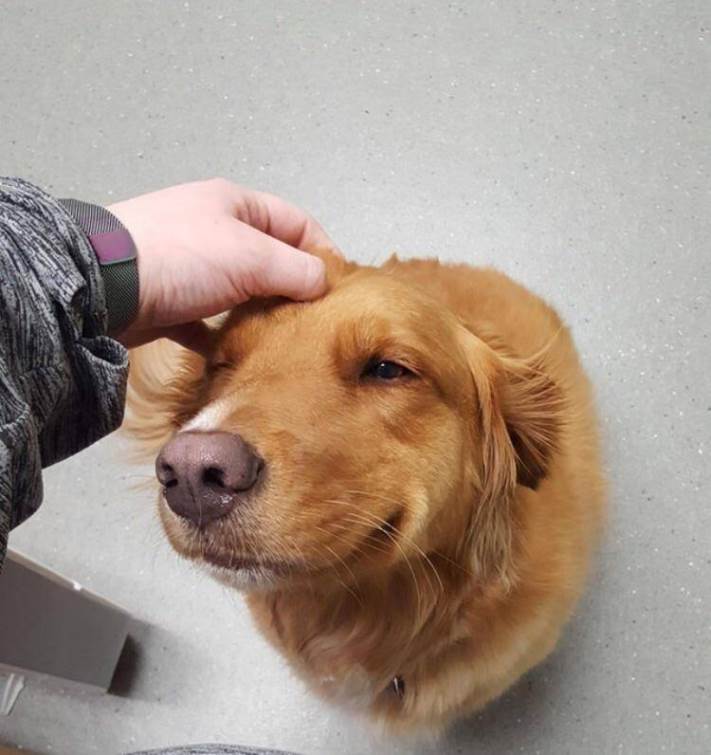 13 լուսանկար, երբ աչքիդ երևաց այն, ինչը չկա