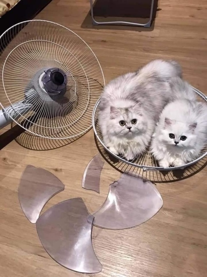 Տեխնիկայի 16 սրտաճմլիկ կադր, որոնք զոհը դարձան մի մարդու, ում համար դա պարզապես երկաթի կտոր է