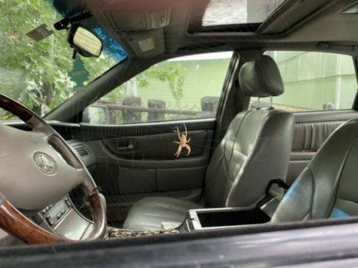 18 կատակներ մայր բնությունից, որպեսզի մարդիկ չհանգստանան