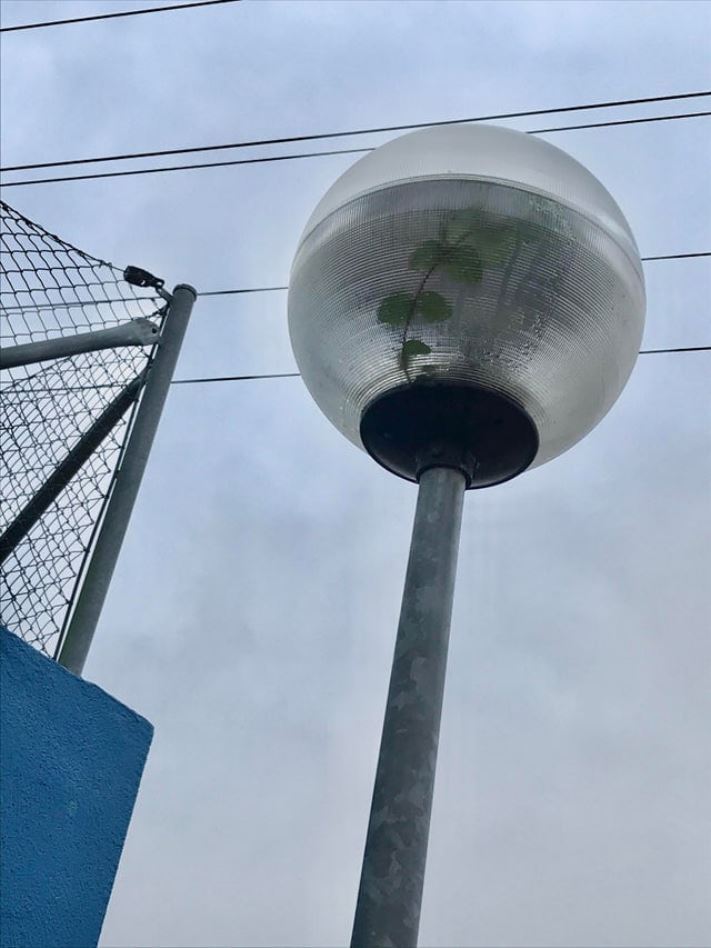 18 կատակներ մայր բնությունից, որպեսզի մարդիկ չհանգստանան