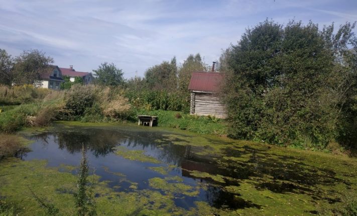 Հոգեբանական թեստ. Ձեր տեսած առաջին բանը կբացահայտի, թե ձեր ենթագիտակցական միտքը &laquo;ինչ է պահանջում&raquo; հենց հիմա