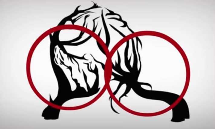 Հոգեբանական թեստ. Ի՞նչ տեսաք առաջինը նկարում: Պատասխանը կօգնի ձեզ հասկանալ, թե ինչն է պակասում ձեզ երջանկության համար