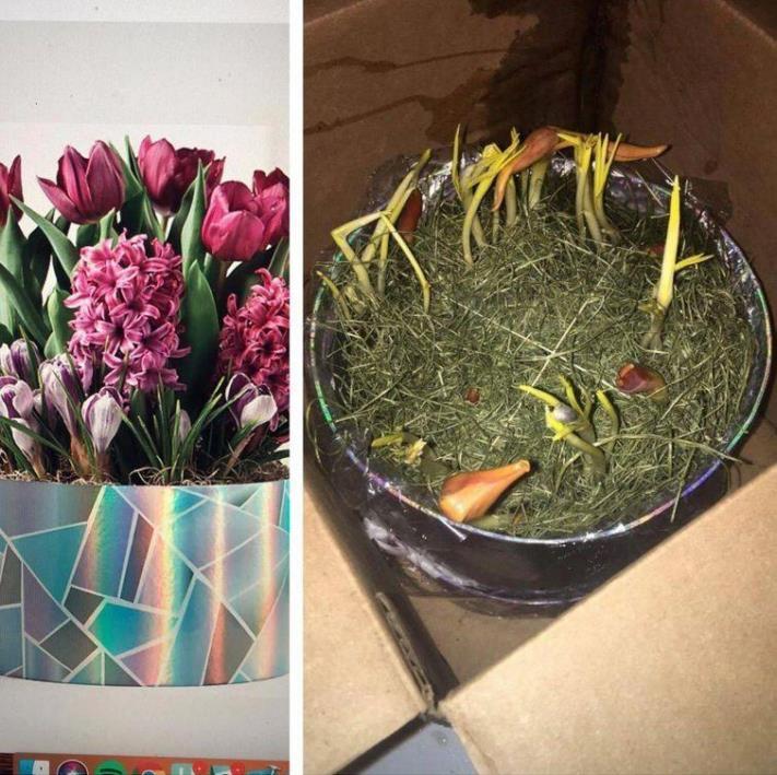 Իրավիճակների 30 լուսանկար, որոնցում ոչ ոք չէր ցանկանա լինել, բայց ոչ ոք էլ դրանցից ապահովագրված չէ