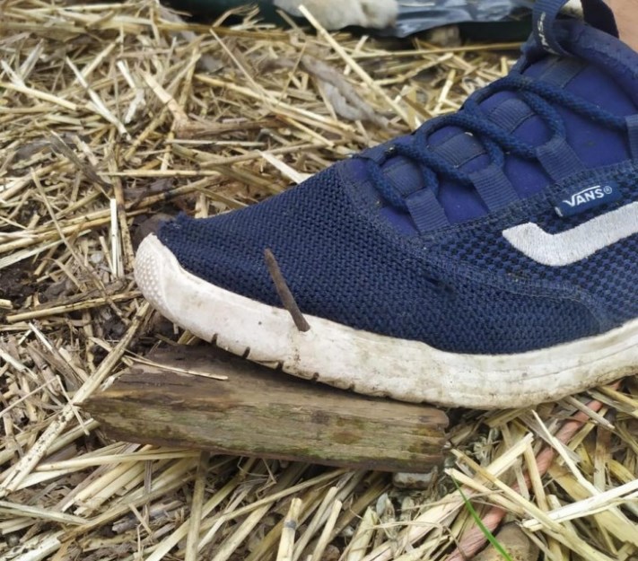 17 հազվագյուտ լուսանկար, որոնցից բոլորի ափերն ակամայից քրտնում են