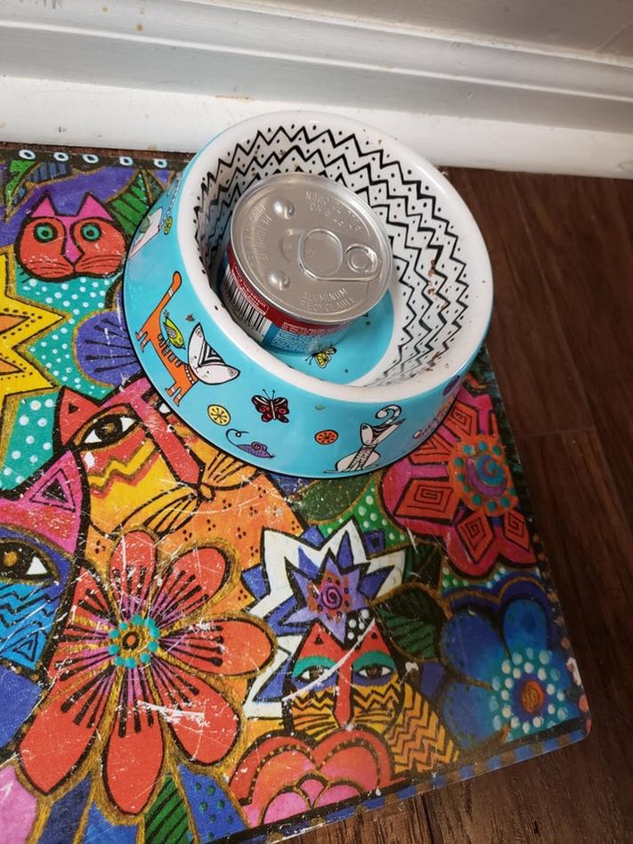 20 օրինակ, թե ինչու պետք է ձեր նյարդերը փոխարինել ամուր երկաթյա լարերով` մինչ երեխաներ ունենալը