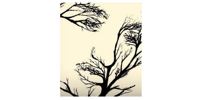 Հոգեբանական թեստ.Առաջին բանը, որ տեսնում եք այս նկարում, կպատմի ձեր վախերի և անհանգստությունների մասին