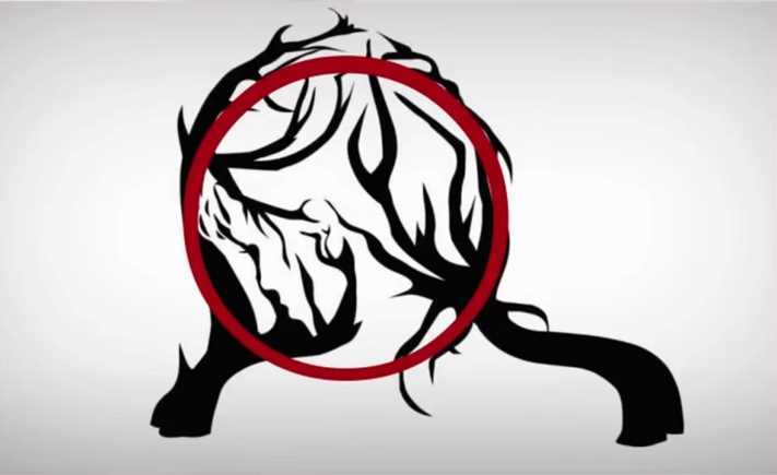 Հոգեբանական թեստ. Ի՞նչ տեսաք առաջինը նկարում: Պատասխանը կօգնի ձեզ հասկանալ, թե ինչն է պակասում ձեզ երջանկության համար