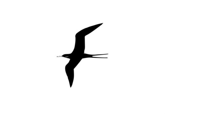 Հոգեբանական թեստ. Ի՞նչն է խանգարում ձեր հաջողությանը