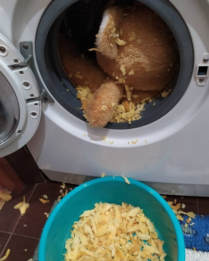 13 դեպքեր, երբ լվացքը վերահսկողությունից դուրս է եկել