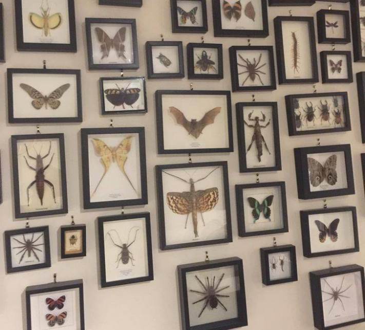 13 լուսանկար Ավստրալիայից, որից հետո դուք չեք ցանկանա այնտեղ մեկնել