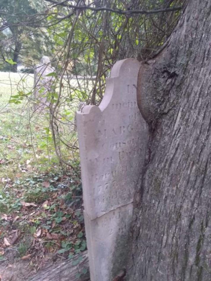 18 կատակներ մայր բնությունից, որպեսզի մարդիկ չհանգստանան