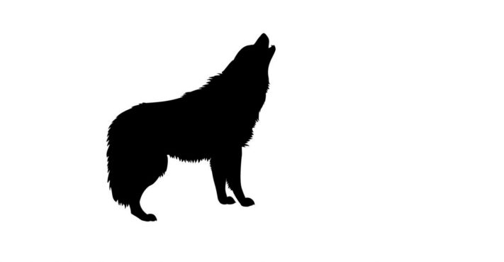 Հոգեբանական թեստ. Ի՞նչն է խանգարում ձեր հաջողությանը