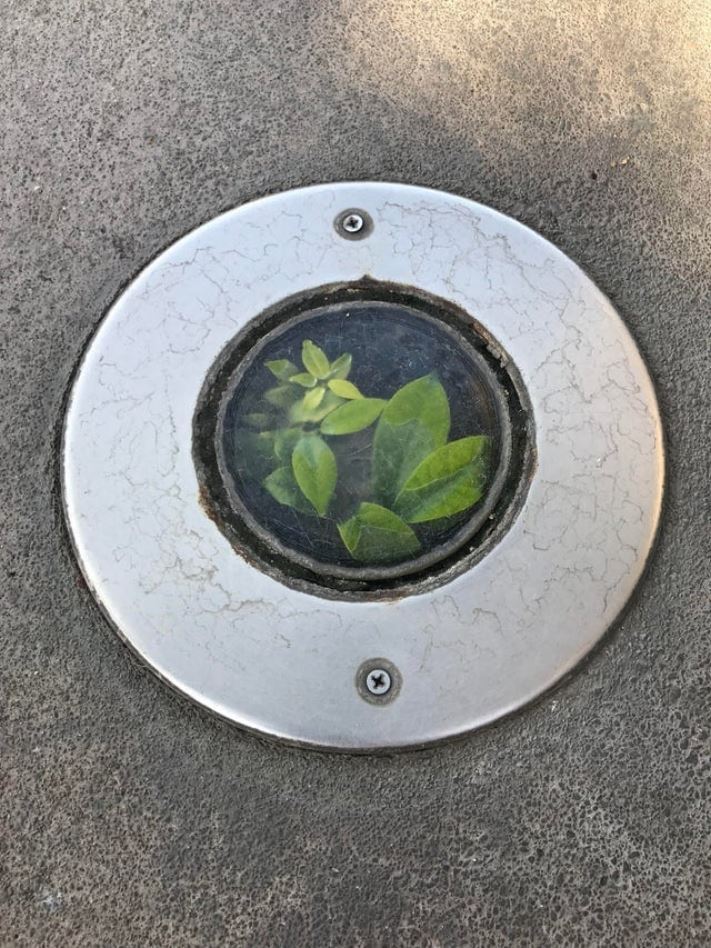 18 կատակներ մայր բնությունից, որպեսզի մարդիկ չհանգստանան