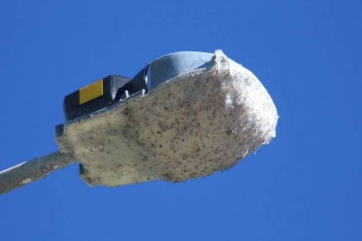 13 լուսանկար Ավստրալիայից, որից հետո դուք չեք ցանկանա այնտեղ մեկնել