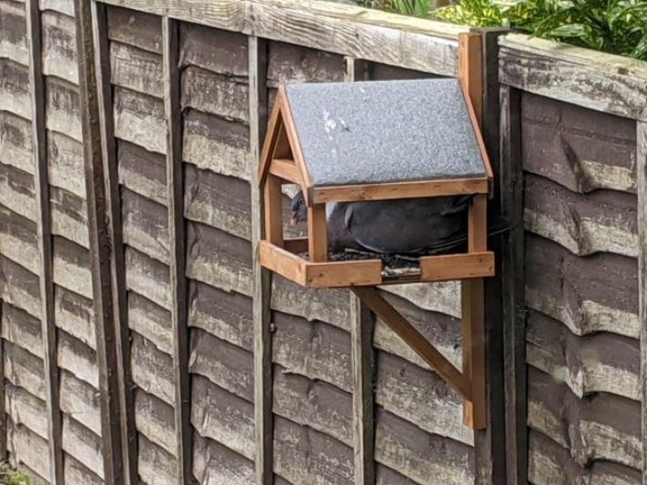 19 լուսանկար տոտալ անհաջողություններից, որոնք հետապնդում են այս լուսանկարների հերոսներին իրենց ողջ կյանքի ընթացքում