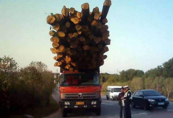 25 լուսանկար, որտեղ ոմանք անմտածված ռիսկի են ենթարկվում` հաշմանդամ դառնալու կամ դրանից էլ վատ