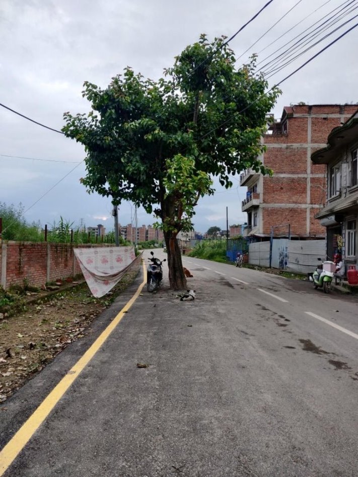 18 խելագարություն այն շինարարներից, որոնց այլևս ո՛չ մուրճ կվստահես, ո՛չ էլ մալա