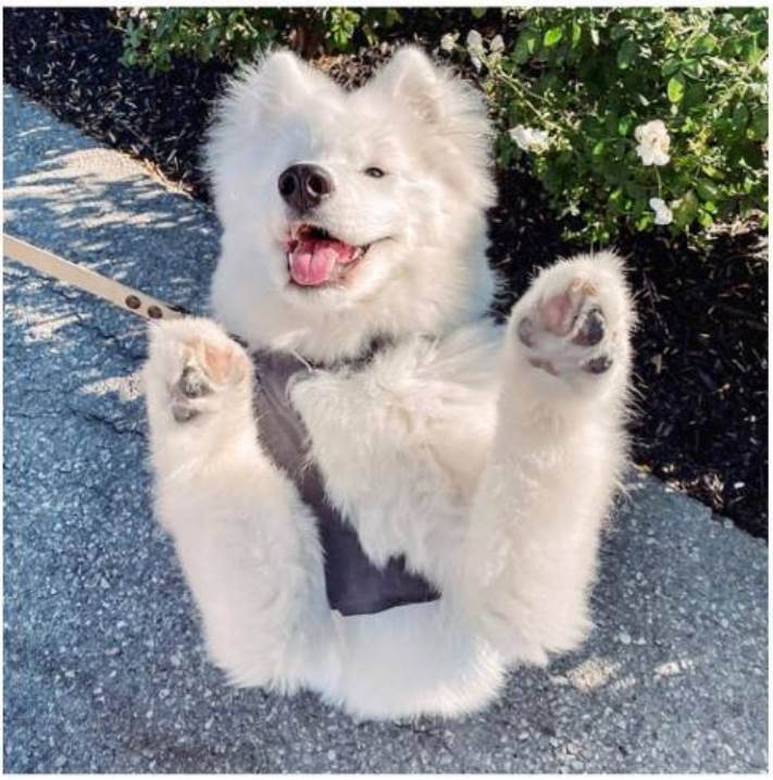 13 լուսանկար, երբ աչքիդ երևաց այն, ինչը չկա