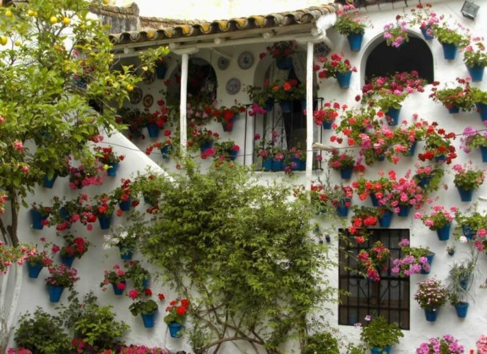 15 դաժան կերպարներ, որոնց ծանոթ չէ «չափն անցել» բառը