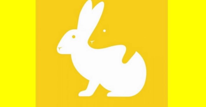 Հոգեբանական թեստ։ Նկարում տեսած առաջին կենդանին կպատմի ձեր կամային հատկությունների մասին