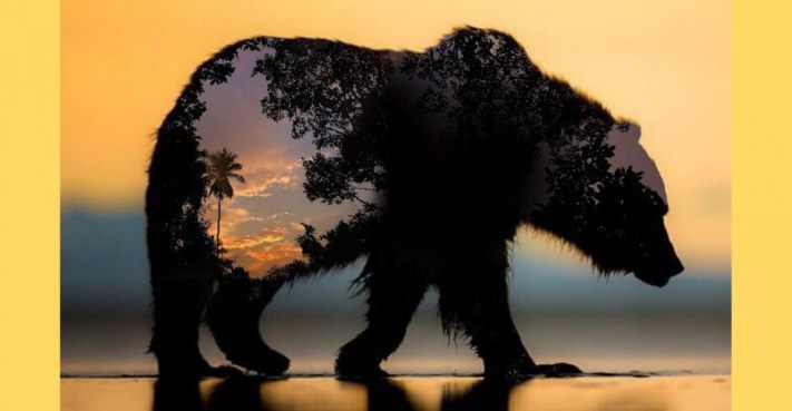 Հոգեբանական թեստ. Առաջին բանը, որ տեսնում եք նկարում, կպատմի ձեր երկու ամենակարևոր բնավորության գծերի մասին