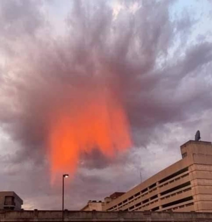 Մայր բնության բուռն և վառ ֆանտազիայի 16 օրինակ