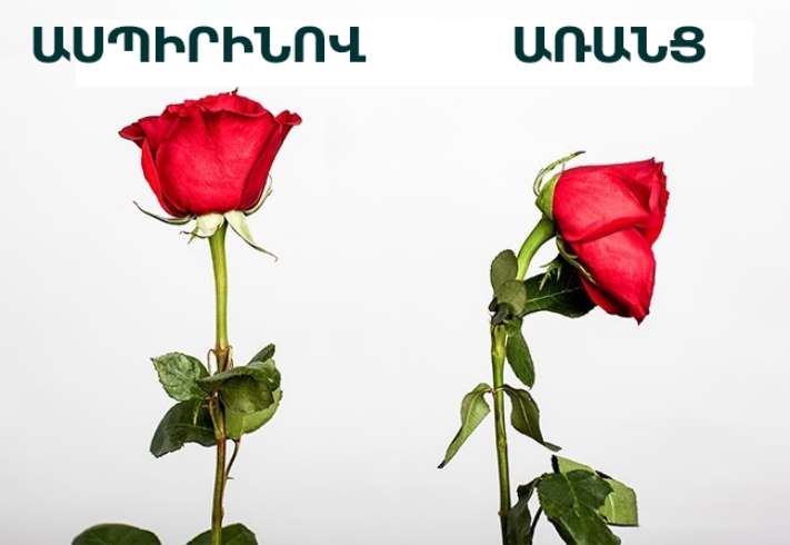 Տատիկի 5 հնարք, որոնք մինչ այսօր չեն կորցրել իրենց օգտակարությունը
