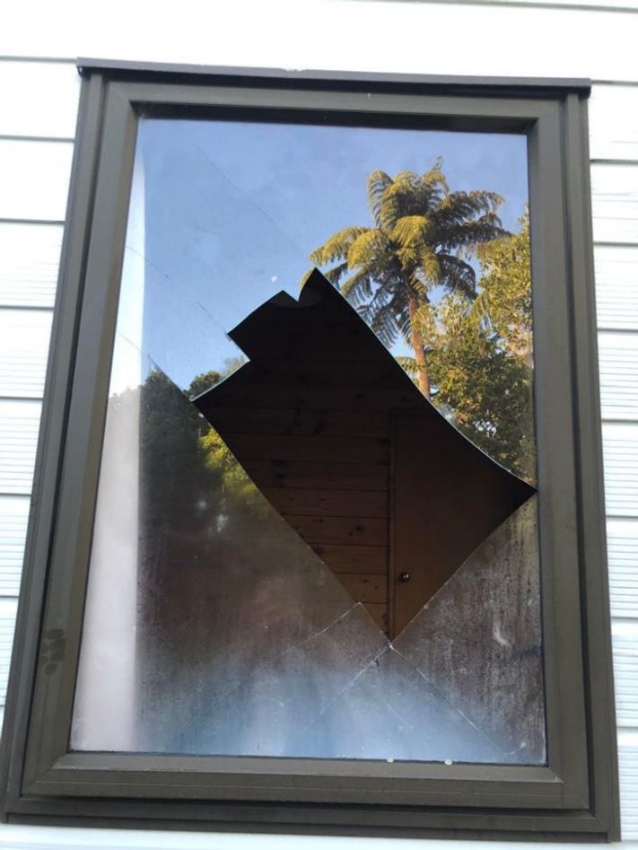 19 օրինակ, թե ինչ է պատահում, երբ երջանկության թռչունը թռչում գալիս է` միայն ձեր գլխին կեղտոտելու համար