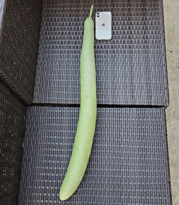 16 հստակ օրինակ, որ չափը կարևոր է` անկախ մեր կարծիքից