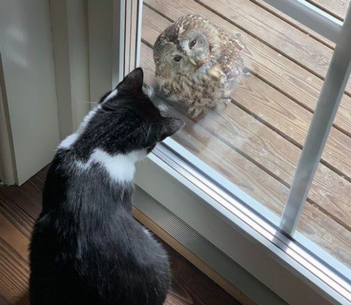 18 լուսանկար, որոնք արվել են ճիշտ ժամանակին և ճիշտ անկյան տակ